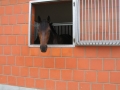 Reitanlage Gut Havkenscheid