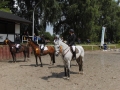 Reitverein Gut Havkenscheid