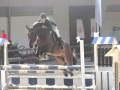 Reitverein Gut Havkenscheid