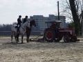 Gut Havkenscheid Turnier-Impressionen