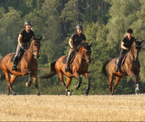 Reiter Gut Havkenscheid