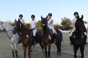 Reitverein Gut Havkenscheid